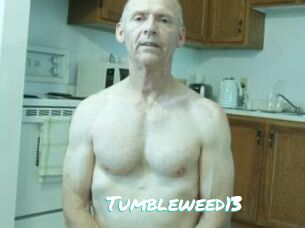 Tumbleweed13 Free Sites X