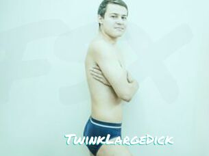 TwinkLargeDick