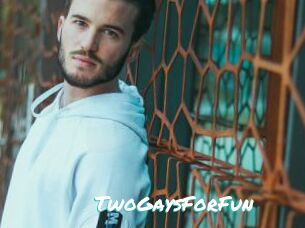 TwoGaysForFun