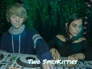 Two_SpicyKitties