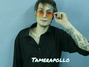 Tamerapollo