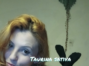 Taurina_sativa