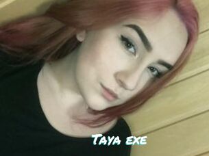 Taya_exe
