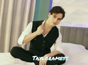 Tayloramess