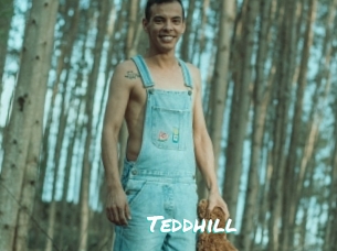 Teddhill