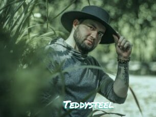 Teddysteel