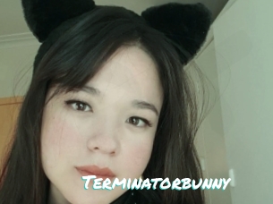 Terminatorbunny