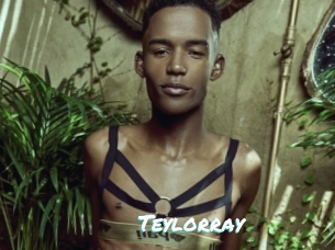 Teylorray