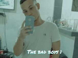The_bad_boys_1