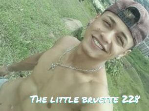 The_little_bruette_228