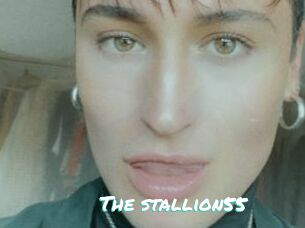 The_stallion55