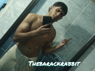 Thebarackrabbit