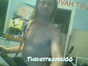 Thedestroyer100