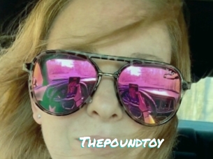 Thepoundtoy