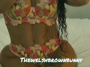 Thewelshbrownbunny
