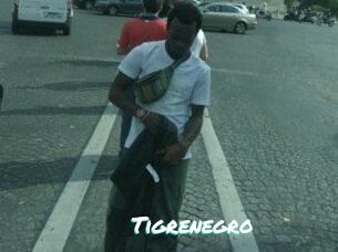 Tigrenegro