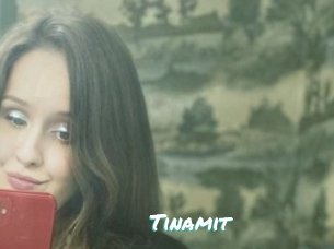 Tinamit