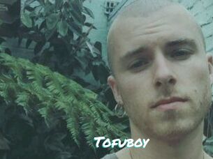 Tofu_boy