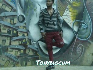 Tonybigcum
