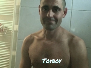 Toyboy