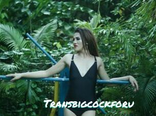 Transbigcockforu