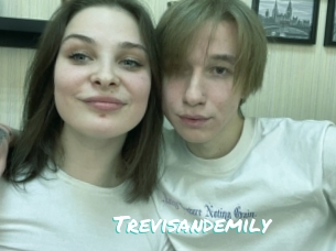 Trevisandemily