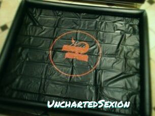 UnchartedSexion