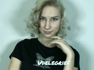 Udelegrief
