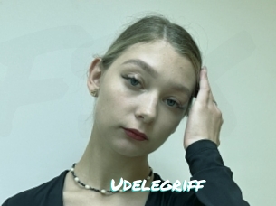 Udelegriff