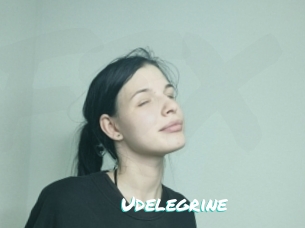 Udelegrine