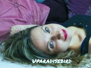 Uparadisebird