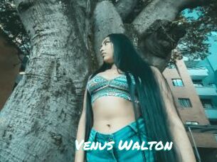 Venus_Walton