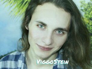 ViggoStein