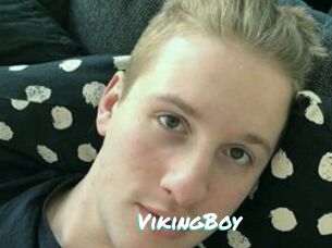 VikingBoy