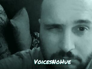 VoicesNoHue