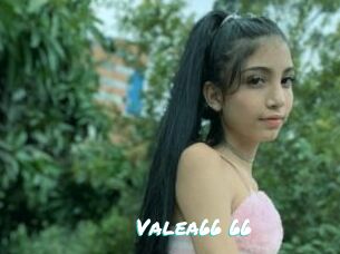 Valea66_66