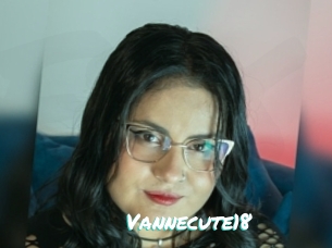 Vannecute18