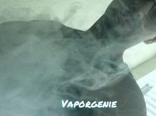 Vapor_genie