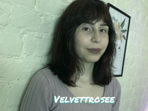 Velvettrosee