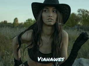 Viahawes