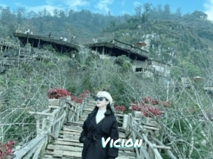 Vicion