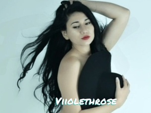 Viiolethrose