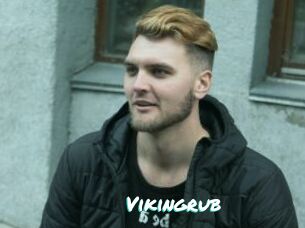 Vikingrub