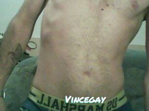 Vincegay