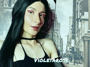 Violetarose