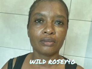 WILD_ROSEY40