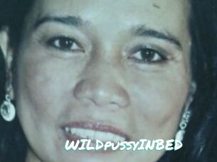 WILDpussyINBED