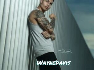 WayneDavis