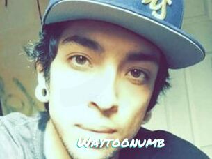 Waytoonumb