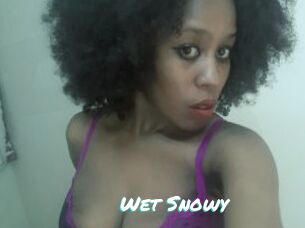 Wet_Snowy